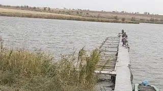 Любительский Турнир 