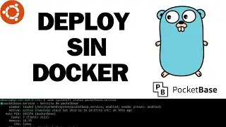 Despliegue de Aplicación Golang (sin Docker) con Systemd, PocketBase