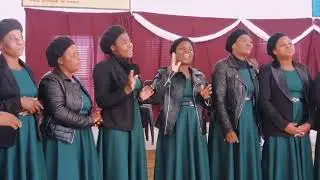 POSACHEDWA ZAFIKA