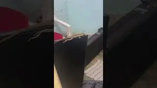 pense que ya estaba muerto 🦎🥹😢