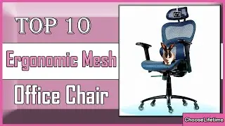 ✅ 10 Best Ergonomic Mesh Office Chair: Find the Best Model for You