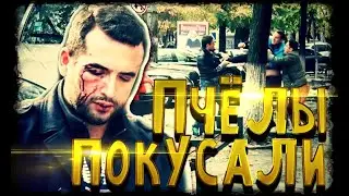 СтопХАМ Молдова - Пчёлы покусали
