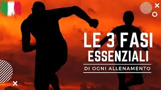 Come Allenarsi ? Le 3 Fasi ESSENZIALI ! #palestra #massamuscolare #fitness #recuperomuscolare