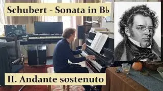 Schubert's Farewell With Life - Sonata in B♭ major - II. Andante sostenuto