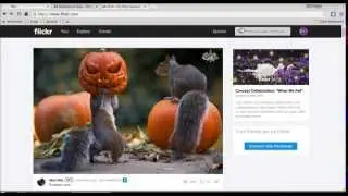 Получить картинки с Flickr на PHP