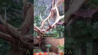 VOCÊ SABE O QUE É ISSO? #curioso #incrível #interessante #shorts #curiosidades