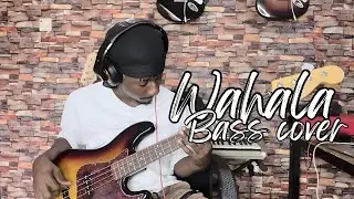 CKay ft. Olamide - Wahala Bass Cover