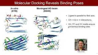 2022-10-12 ICMRBS ECR Webinar: Duan