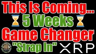 Ripple CEO On XRP L Smart Contracts/Custody & FED Braced For US Dollar Crisis
