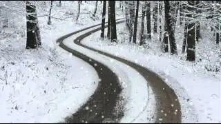 Александр Шломан  Снег летит