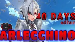 1000 meme 40 DAYS After ARLECCHINO | Genshin Impact