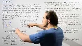 Fundamental Particles and Hadrons