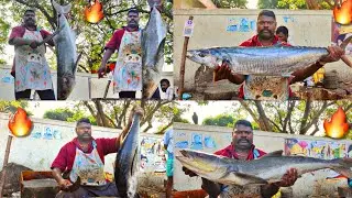 India's Fastest and Most Skillful Kasimedu Selvam Fish Cutting Compilation #2💥 #kasimeduselvam