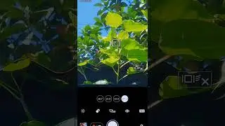 Sony Xperia 300 mm zoom photography #sony #camera #photography #shorts
