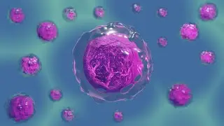Intelligente Moleküle, der Schlüssel zu seelischer und körperlicher Gesundheit“  Vortrag 45 min.
