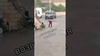 Терминатор 2 судный день / Алконатор 2 синий день
