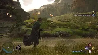Dragon spotting....  #PS5  #HogwartsLegacy