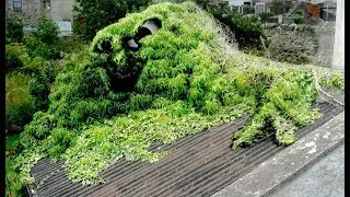 Bush swallows kid