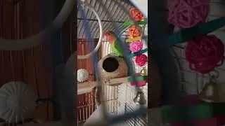 Аркаша на дозоре