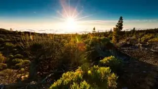 Анна Герман. Гори, гори, моя звезда