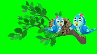 Nest green screen cartoon character crow and bird