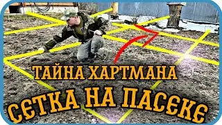 СЕТКА ХАРТМАНА‼️ ЕЁ ВЛИЯНИЕ НА РАЗВИТИЕ ПЧЁЛ ‼️ ОПРЕДЕЛЕНИЕ⬇️⬇️⬇️