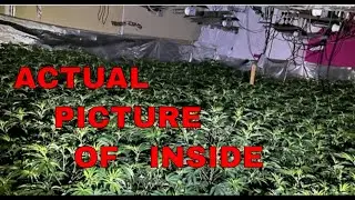 Stockport 5m  Cannabis factory( it was a bust)