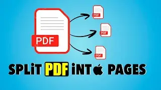 💻🚀 Split PDF into Pages on your Mac with one Click!