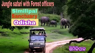 #Similipal Jungle Safari With Forest Officers // Similipal National Park cum Tiger Reserve,Odisha