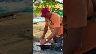 ОДНОГЛАЗЫЙ ЧЕЛОВЕК КУПИЛ РЫБУ ЗА 300₽ В КОЛУМБИИ НА БЕРЕГУ КАРИБСКОГО МОРЯ 