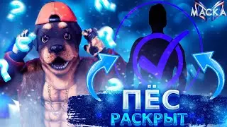 ПЁС РАСКРЫТ! Кто скрывался под маской? 2 выпуск шоу 