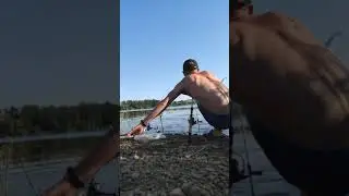 флет рулит)