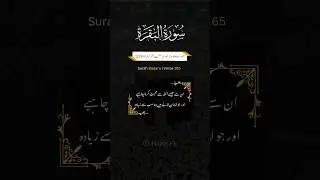 Surah Baqara Verse 165 Translation in Urdu #quran #qurantranslation #islamic