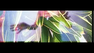 ORGÀNIK //Lomokino 35mm