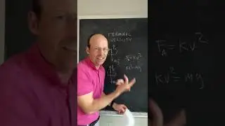 What is terminal velocity? 