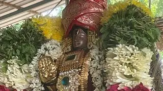 Sri Thiruvali Nagaraalan Vaikasi Brahmotsavam 2022 Rathotsavam