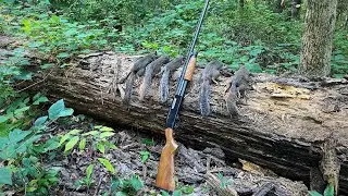 Squirrel Hunting Madness (ANOTHER LIMIT)