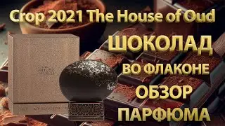 Crop 2021 The House of Oud - обзор парфюма