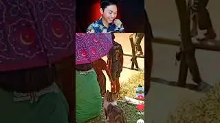KUCINGNYA TERLALU SOPAN🗿 #kontenreactionlucu #funny #reactionlucu #funnymemes #meme #reaction