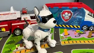 FUNNY ROBOT DOG