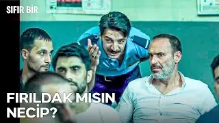 Necip Yalakalık Peşinde - Sıfır Bir