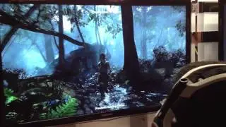 Tomb Raider - PAX Prime 2012 Beta 2