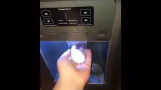 Funny moments