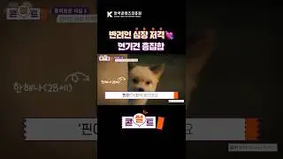 마스크걸 ‘핑핑이’ = 오사개 ‘개나’라고? #Shorts