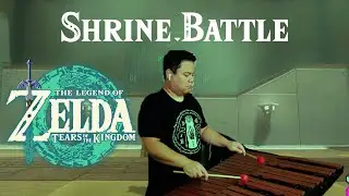 Zelda Tears of the Kingdom - Shrine Battle (cover)