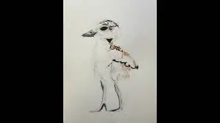 Loteria de Ensenada CHORLITO NEVADO