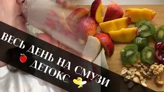 ВЕСЬ ДЕНЬ НА СМУЗИ 🍒 БЛЕНДЕР OBERHOF Wirbel E30 🥝 ДЕТОКС