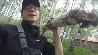 вот такой пацан В ЛЕСУ.