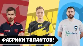 ОНИ СОЗДАЮТ ЗВЕЗД В CS! ТОП-4 самых УСПЕШНЫХ АКАДЕМИЙ в CS:GO