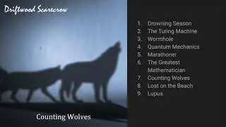 Counting Wolves Album Trailer Driftwood Scarecrow
